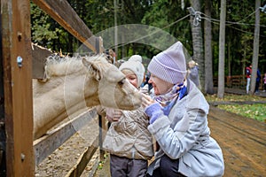 Mom and daughter caress the face of a foal at the petting zoo.