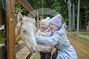 Mom and daughter caress the face of a foal at the petting zoo.