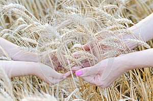 Mom and daughter keep wheat ears, free space.