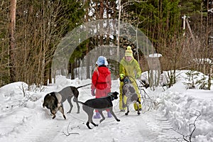 Mom and daughter protect themselves from stray dogs in winter forest