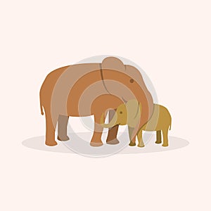 Mom elephant and baby elephant flat icon