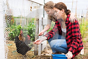 Mom and her daughter feed chickens in chicken coop in backyard of country house