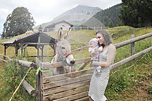 Mom with her daughter having fun at farm ranch and meeting a donkey - Pet therapy concept in countryside with donkey in the