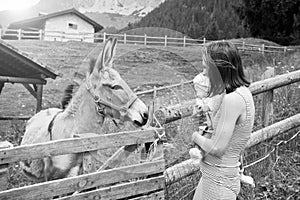 Mom with her daughter having fun at farm ranch and meeting a donkey - Pet therapy concept in countryside with donkey in the