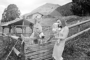 Mom with her daughter having fun at farm ranch and meeting a donkey - Pet therapy concept in countryside with donkey in the