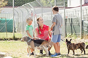 Mom with her sons walking dogs of an animal shelter