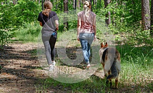 Mom with her teenage daughter and a dog are walking in the summer forest. Walks in the woods. A German shepherd dog guards the