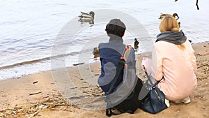 Mom and his son take pictures of a duck with ducklings on the shore of the reservoir on a smartphone