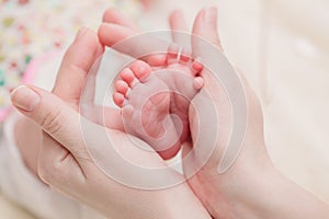 Mom holds small baby legs in hands