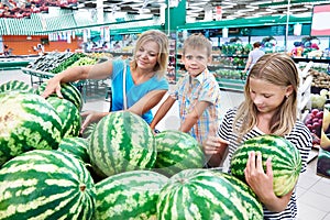 Mom with kids choose watermelon at grocery store