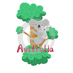 Mom koala with a baby on a tree. Vector graphics