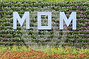 MOM label on flowers bakground