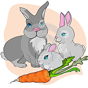 Mom rabbit and cute bunnies.three rabbits and a carrot
