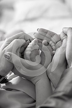 Mom`s and father hands are holding little cute legs of a newborn baby at home on a white bed