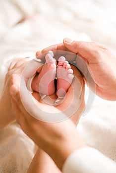 Mom`s and father hands are holding little cute legs of a newborn baby at home on a white bed.