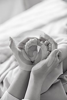 Mom`s hands are holding little cute legs of a newborn baby at home on a white bed