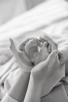 Mom`s hands are holding little cute legs of a newborn baby at home on a white bed