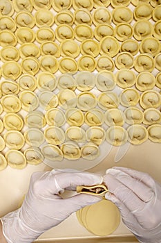 Mom`s hands holding pelmeni with minced meat, top view