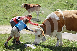 Mom and son caressing a cow during summer mountain holidays