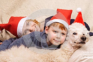 Mom, son and dog in New Year`s hats are smiling during the Christmas holidays