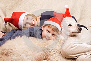 Mom, son and dog in New Year`s hats are smiling during the Christmas holidays. Happy family having fun