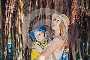 Mom and son on Vietnam travelers are on the background Beautiful tree with aerial roots