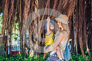 Mom and son on Vietnam travelers are on the background Beautiful tree with aerial roots