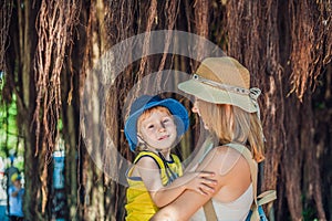 Mom and son on Vietnam travelers are on the background Beautiful tree with aerial roots