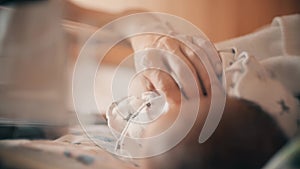 Mom touches her newborn baby in a transparent hospital bassinet