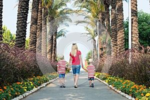 Mom and two son in hats to walk through the alley of palm trees.Family summer vacation.