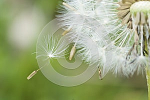 ÃÂ moment before lifting