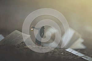 moment of a woman with lantern walking confused in the fog between pages and books