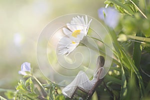 Moment of a woman sitting in the shade of a gigantic daisy in a green meadow