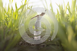 moment of a young woman relaxing in the midst of gigantic grass