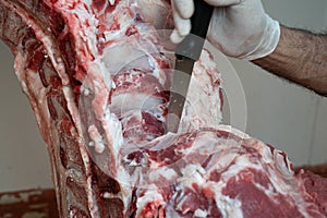 Moments of hand slaughtering of meat steaks