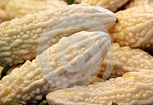 Momordica charantia, White Chinese bittergourd