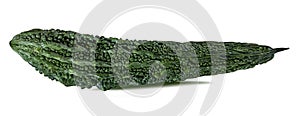 Momordica or karela with leaf isolated on white