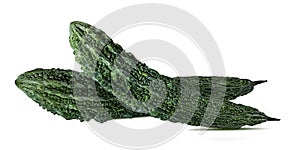 Momordica or karela with leaf isolated on white