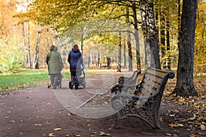 Moms with strollers are walking in an old park