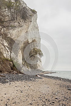 Mon, Denmark - white cliffs