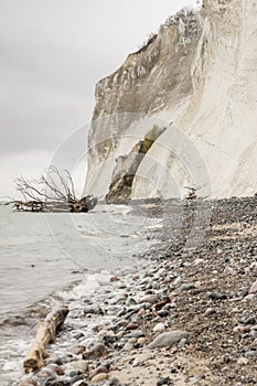 Mon, Denmark - white cliffs