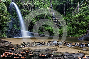 Mon Tha Than waterfall it beautiful most famous in Doi Suthep-Pui National Park, Chiang mai, Thailand