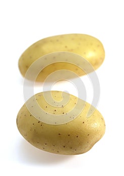 Mona Lisa Potato, solanum tuberosum, Vegetable against White Background