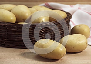 Mona Lisa Potato, Solanum tuberosum, Vegetables in Basket