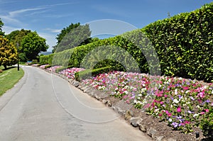 Mona Vale - Flower Beds, Christchurch, New Zealand