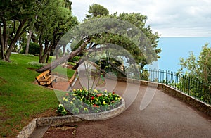 Monaco - Park in Principality of Monaco. photo