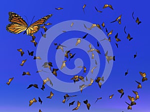 Monarch butterflies migration - 3D render photo