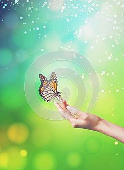 Woman hands releasing a butterfly - Symbolic Spiritual Release