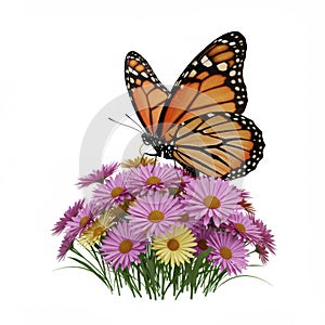 Monarch Butterfly on Purple and Yellow Asters