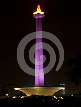 Monas at Night